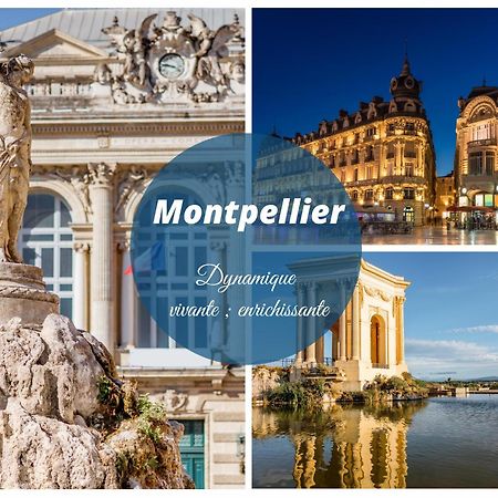 Reve Bleu Residence La Grande Pyramide Vue Port Hyper Centre Wifi Parking Prive Gratuit Exterior foto
