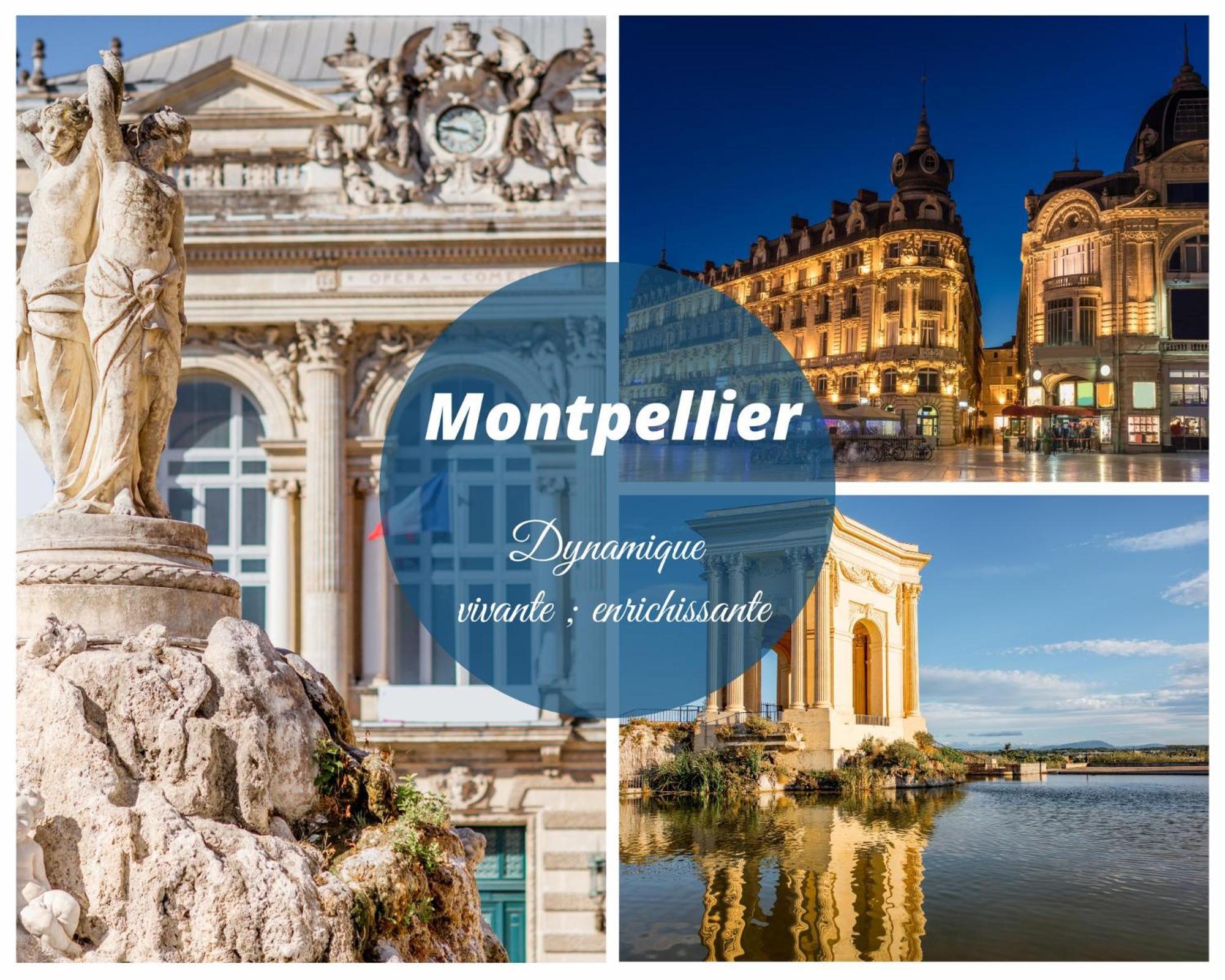 Reve Bleu Residence La Grande Pyramide Vue Port Hyper Centre Wifi Parking Prive Gratuit Exterior foto